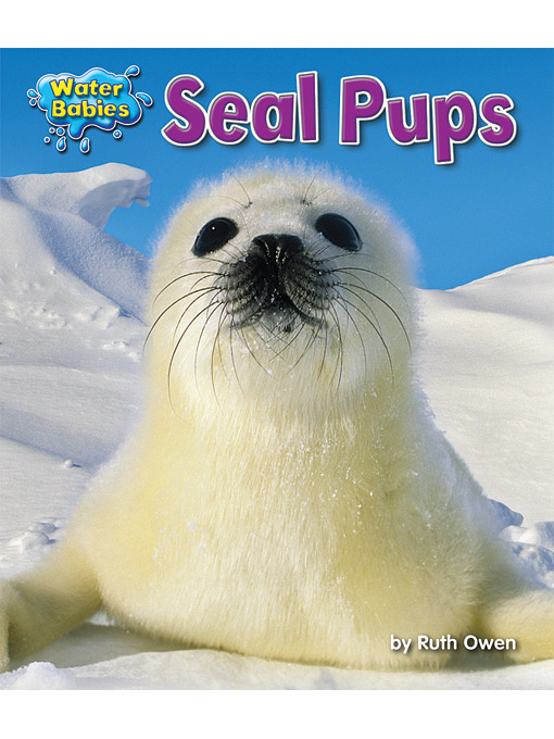 Cover image for Seal Pups